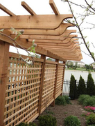 Lattice Fence with Pergola Top